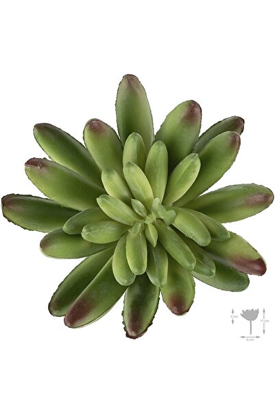Roberto Rossi Planta artificiala suculenta model24