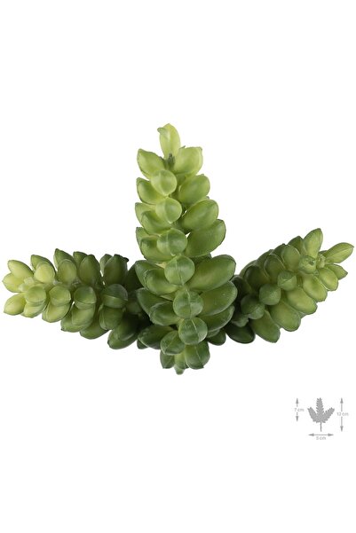 Roberto Rossi Planta artificiala suculenta model25