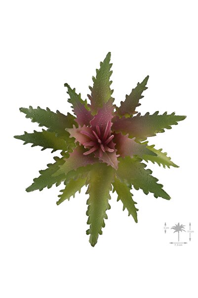 Roberto Rossi Planta artificiala suculenta model68