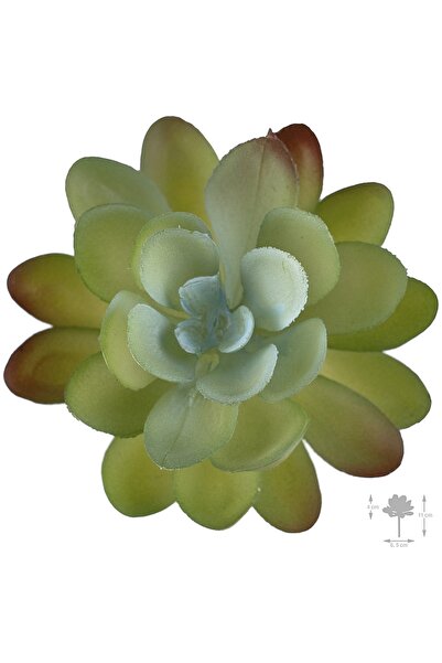 Roberto Rossi Planta artificiala suculenta model14