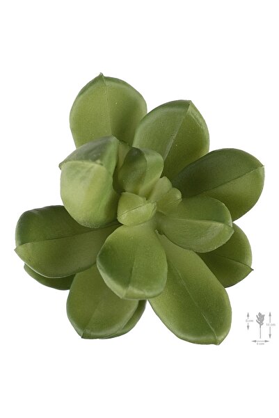 Roberto Rossi Planta artificiala suculenta model84