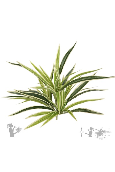 Roberto Rossi Clorofit artificial M D43xH40 cm cu 56 frunze GW