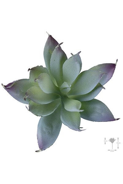 Roberto Rossi Planta artificiala suculenta model69