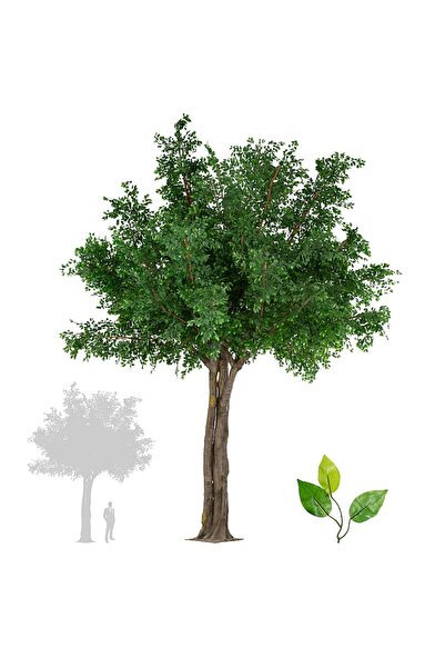 Roberto Rossi Copac artificial H610cm Ficus gigant, coroana D490-520cm