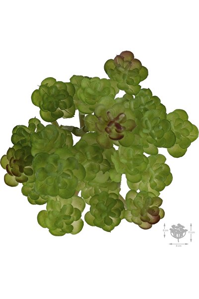 Roberto Rossi Planta artificiala suculenta model15