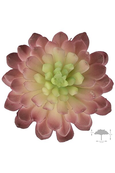 Roberto Rossi Planta artificiala suculenta model9
