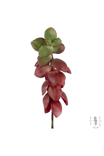 Roberto Rossi Planta artificiala suculenta model66