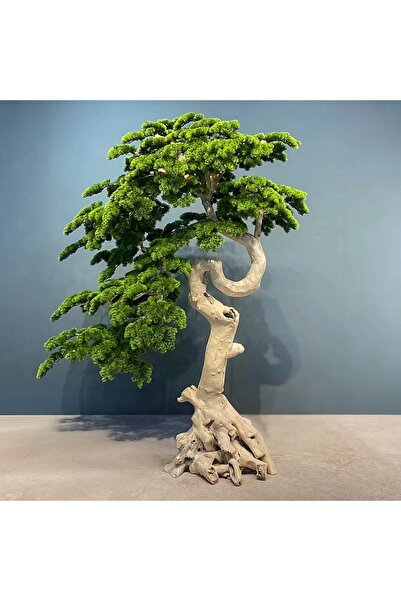 Roberto Rossi Bonsai artificial H220cm Pin cu trunchi din lemn alb cu frunze ...