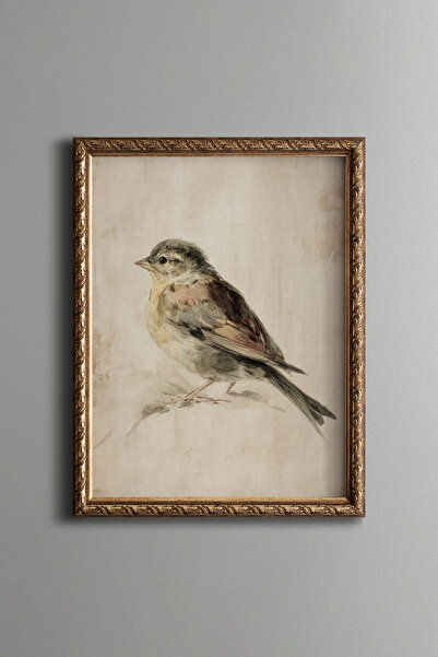 epiqart Bird Illustration - Vintage Patterned Frame - Slim Model
