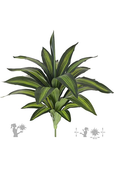 Roberto Rossi Tufa artificiala Dracaena janet craig cu 24 frunze D60xH65 cm