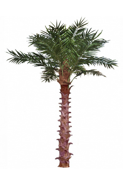 Roberto Rossi Palmier artificial H400cm Phoenix exotic, coroana D420cm cu pro...