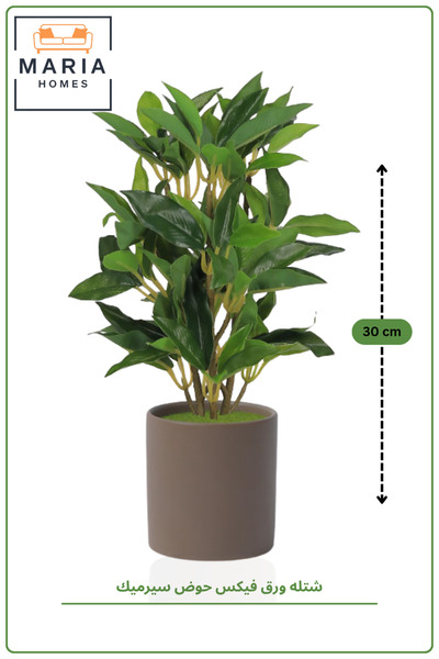 MARIA HOMES 30CM Artificial Ficus Plant in Brown Ceramic Pot | Decorative Ind...
