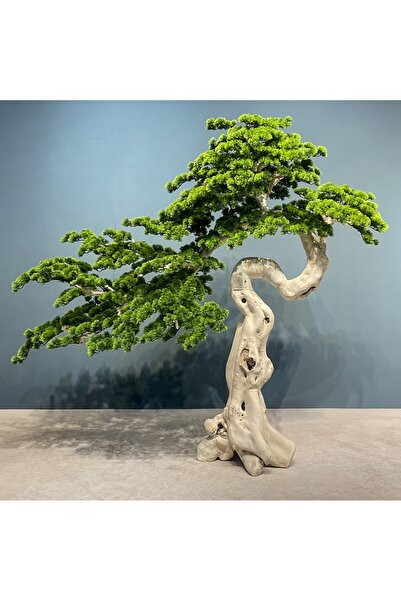 Roberto Rossi Bonsai artificial H225cm Pin cu trunchi din lemn cu frunze verzi