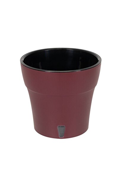 Floraria Tria's Ghiveci Happy plants Dali - Cordovan Rosu - Negru 11 cm (0.6 ...