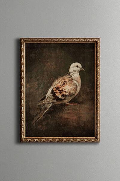 epiqart Pigeon - Vintage Patterned Frame - Slim Model