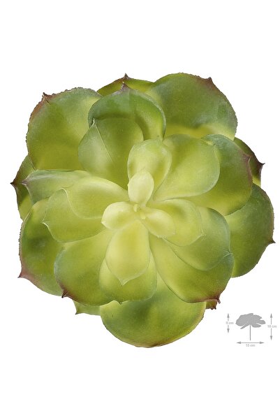 Roberto Rossi Planta artificiala suculenta model2 DK