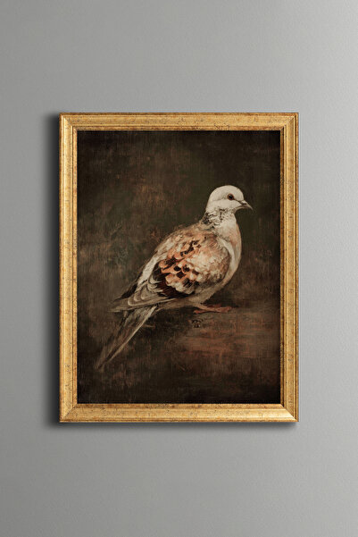 epiqart Pigeon - Vintage Patterned Frame - Slim Model
