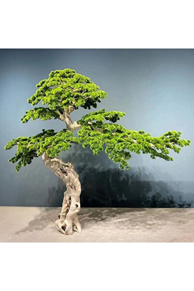 Roberto Rossi Bonsai artificial H240cm Pin cu trunchi din lemn, coroana L240x...