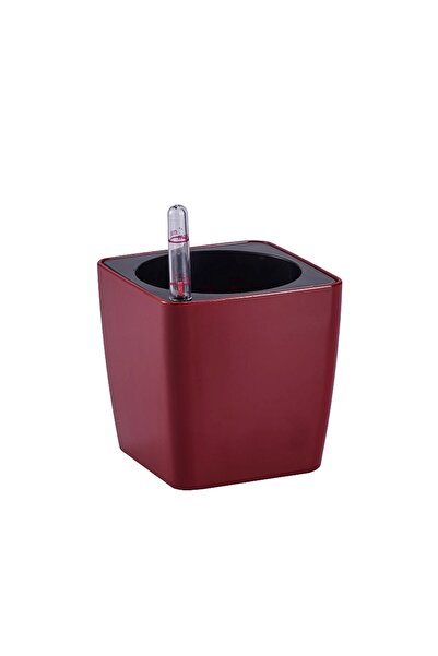 Roberto Rossi Ghiveci inteligent H11,5x11,5x11,5 cm RobertoRossi Mini Cube ro...