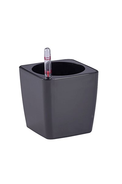 Roberto Rossi Ghiveci inteligent H11,5x11,5x11,5 cm RobertoRossi Mini Cube an...