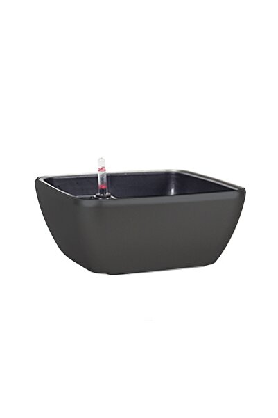 Roberto Rossi Ghiveci inteligent H10x22,5x22,5 cm RobertoRossi Quadro Bowl an...