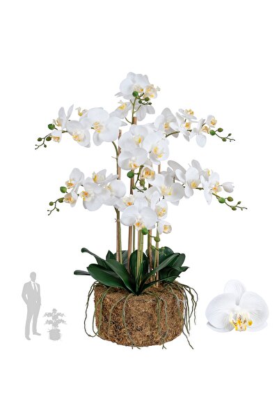 Roberto Rossi Orhidee artificiala alba cu aspect H76 cm cu 7 tulpini