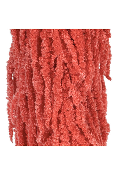 Roberto Rossi Crenguta conservata de Amaranthus H70-80 cm roz coral
