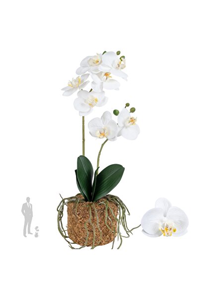 Roberto Rossi Orhidee artificiala alba cu aspect H46 cm cu 2 tulpini