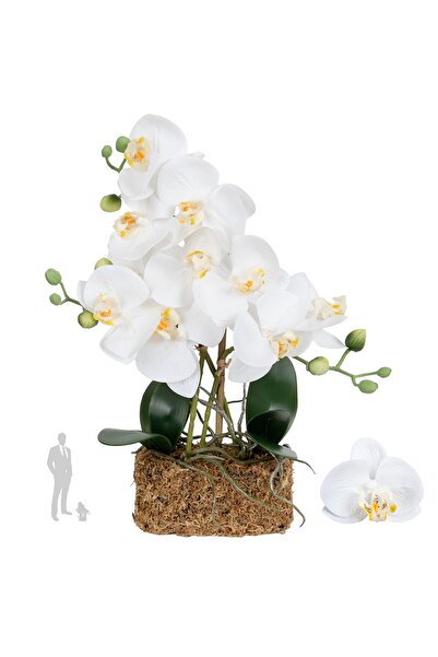 Roberto Rossi Orhidee artificiala alba cu aspect H35 cm cu 3 tulpini