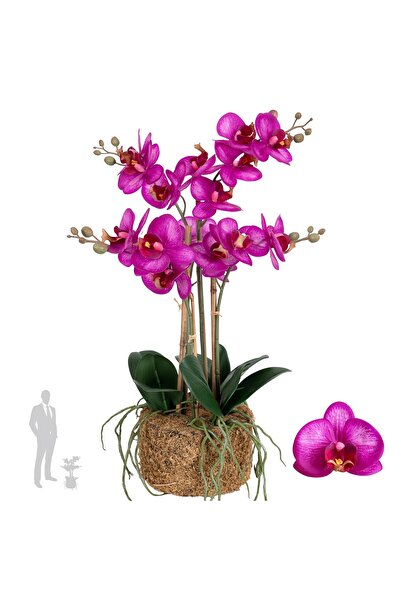 Roberto Rossi Orhidee artificiala roz cu aspect H54 cm cu 5 tulpini