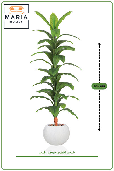 MARIA HOMES 189 CM Artificial Dracaena Corn Plant with White Fiber Pot Tall I...