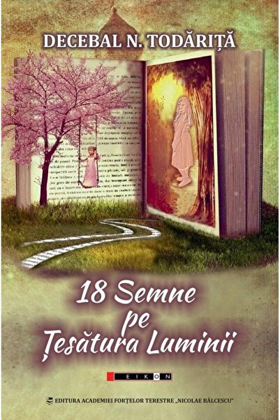 Editura Bookzone 18 semne pe tesatura luminii, Decebal N. Todarita