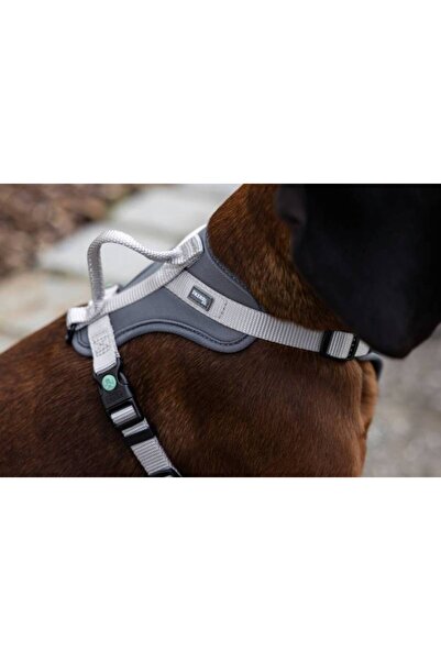 KERBL Y Type Sport Dog Harness 20 mm (38-62 / 58-74 cm) - Fitty Series - m