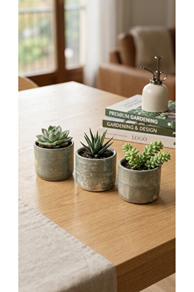 Cogo Seramik Cogoceramic Bohem 3’lü El Yapımı Seramik Mini Saksı Seti - Sukul...