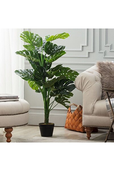 Madame Coco Arbre Topfpflanze