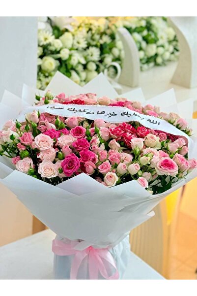 OCMS باقة بولندا