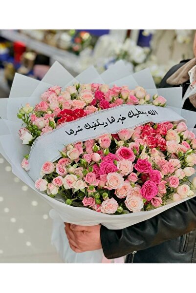 OCMS باقة بولندا
