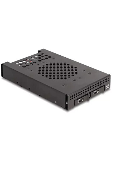 DELOCK Rack mobil 3.5 pentru 2 x SSD-uri M.2 NVMe