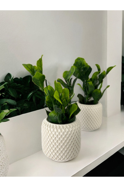 Baen Decor Botanik 2’li mini saksı / dekoratif saksı