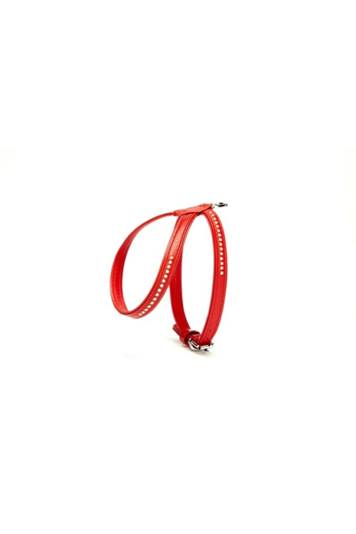 colezium Stoned Leather Dog Collar 1.2 X 25-35 cm Red