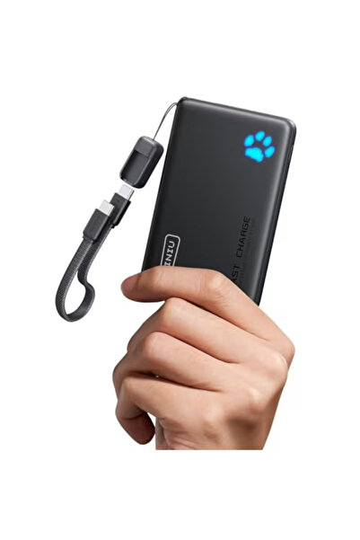 iniu باور بانك، ١٠٠٠٠ مللي أمبير (ألمانيا)