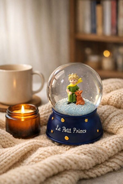 House Bird Müzikli Püskürtmeli ve Işıklı Küçük Prens Kar Küresi – Tilkili Rom...