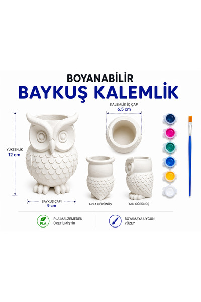 Ateliera Studio Boyanabilir Baykuş Kalemlik Seti 6 Renk Boya ve Fırça Dahil
