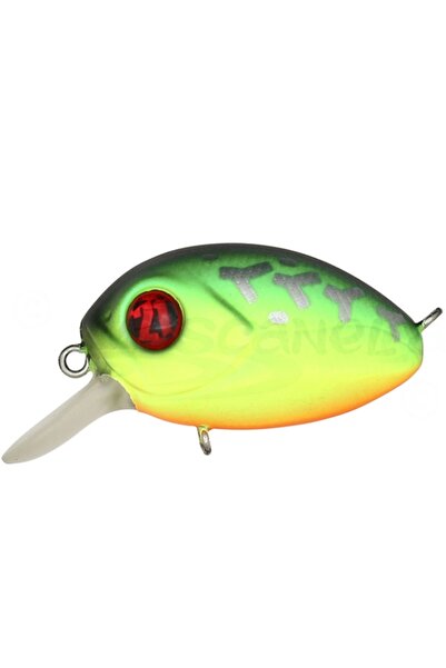 Pontoon21 Vobler Baby RedRag 32F-SR 3.2cm 4.8g 070 F 3.2cm 4.8g 070