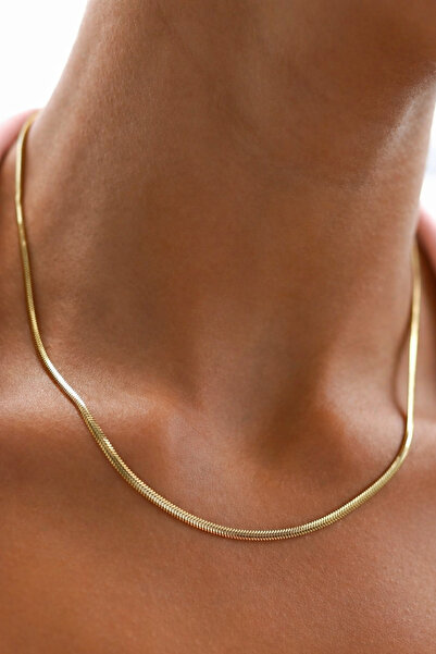 Ricco Jewellery 14 K Altın Kaplama 925 Ayar Gümüş Balık Sırtı Kolye