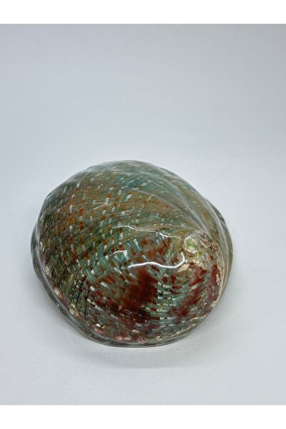 gemsartdeco ASIMILIS NATURAL KABUK