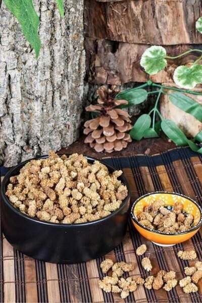 Öget Erzincan Dried Mulberry 500 Gr - Ögt