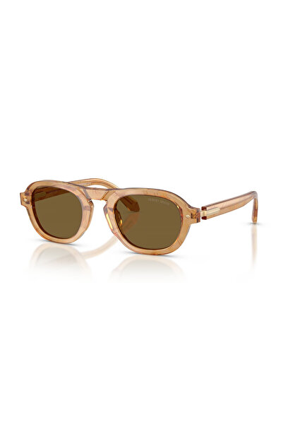 Giorgio Armani AR 0AR8244 630073 49*24*145