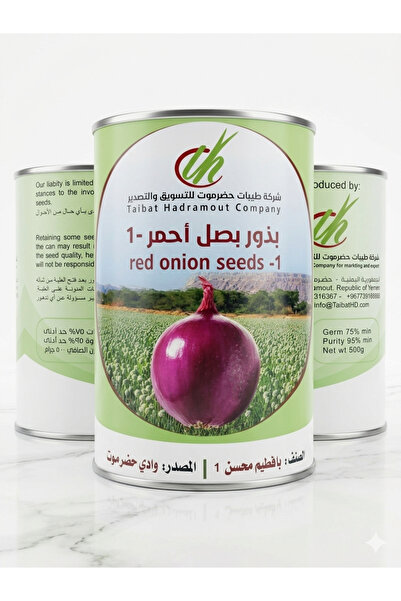 Seeds بذور بصل بافطيم محسن رقم 1