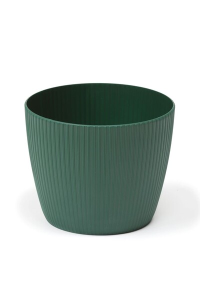 Floraria Tria's Ghiveci Lamela Magnolia Jumper -Verde 14 cm